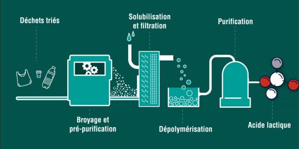 Shéma montrant le processus de transformation menant à l’acide lactique